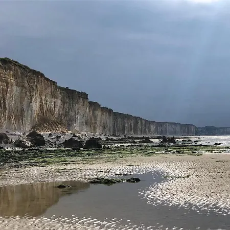 Avec Jardin A Sotteville-sur-Mer